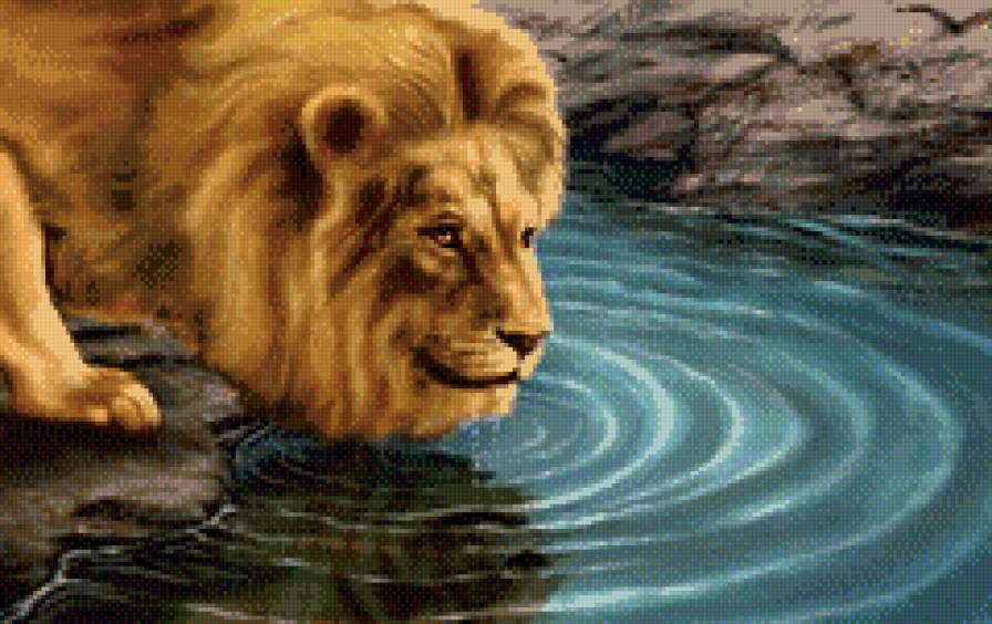 №557944 - животные, природа, лев - предпросмотр