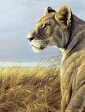 Схема вышивки «№557964»