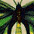 Предпросмотр схемы вышивки «Вариант для подушки "Бабочки"» (№557992)