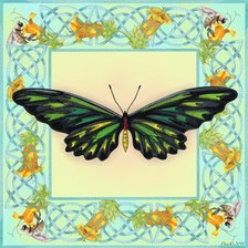 Оригинал схемы вышивки «Вариант для подушки "Бабочки"» (№557992)