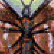 Предпросмотр схемы вышивки «Вариант для подушки "Бабочка"» (№557994)