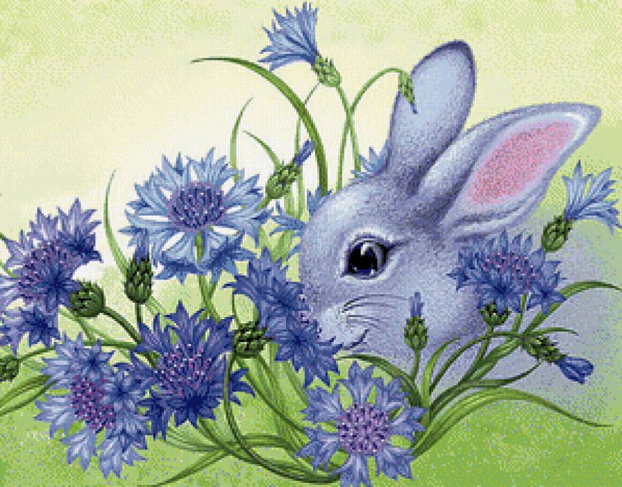Зайчик в васильках - животные, васильки, зайчик - предпросмотр