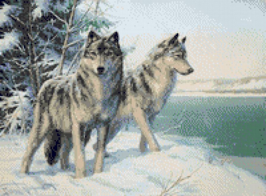 волки - волки зима - предпросмотр