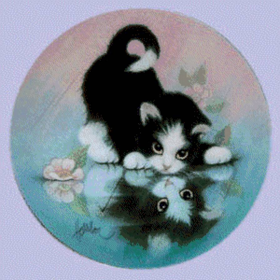 отражение - котики - предпросмотр