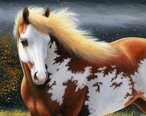 Лошадь - лошади, животные - оригинал
