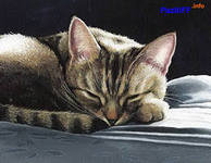 Схема вышивки «№558604»