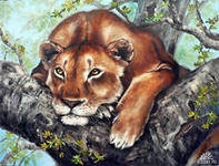 №558681 - животные - оригинал