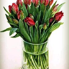 тюльпанчики