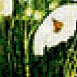 Предпросмотр схемы вышивки «полевые цветы» (№558939)