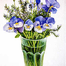 Схема вышивки «анютки»