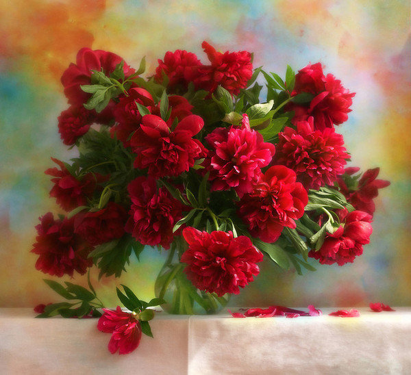 czerwone piwonie - оригинал