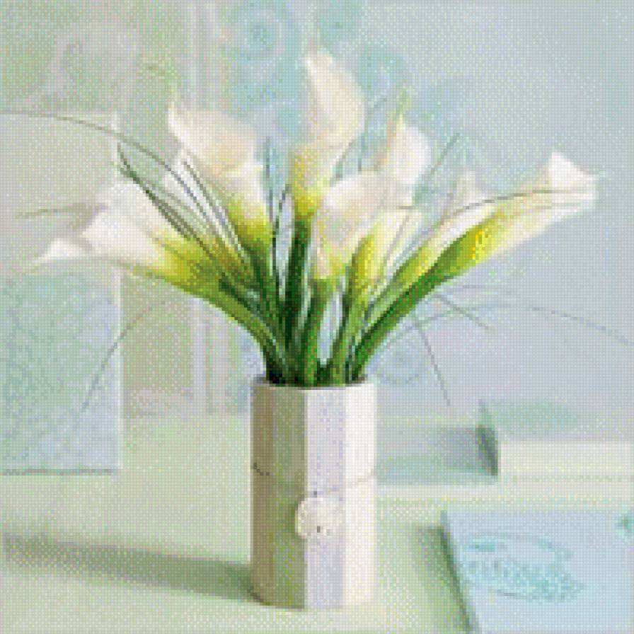 Каллы - цветы - предпросмотр