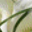 Предпросмотр схемы вышивки «Каллы» (№559027)