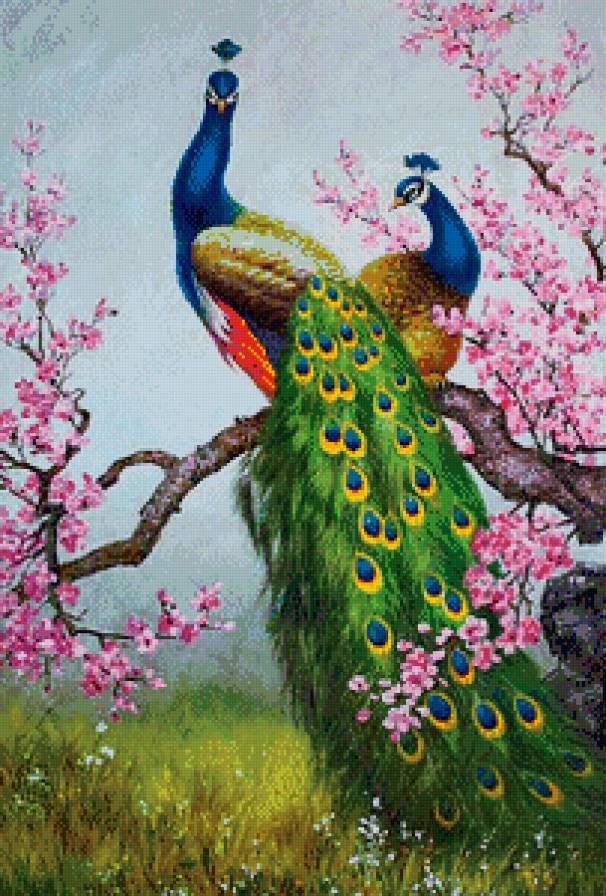 Два павлина - предпросмотр