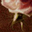 Предпросмотр схемы вышивки «серия "розы"» (№559535)
