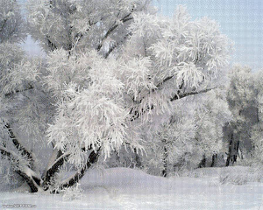 вербы зимой - зима, сугроб, дерево, картина, пейзаж, снег - предпросмотр