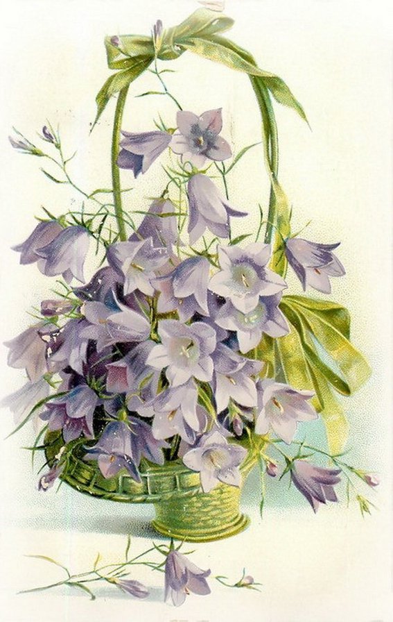 колокольчики - корзинка, букет, картина, цветы, колокольчики - оригинал