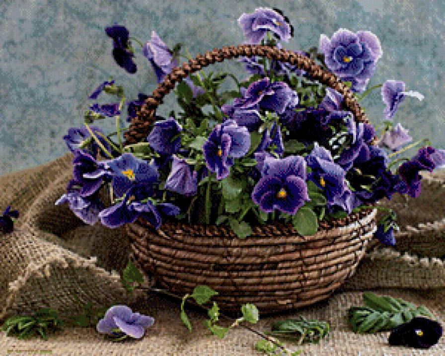 корзинка фиалок - корзинка, букет, анютины глазки, фиалки, цветы - предпросмотр