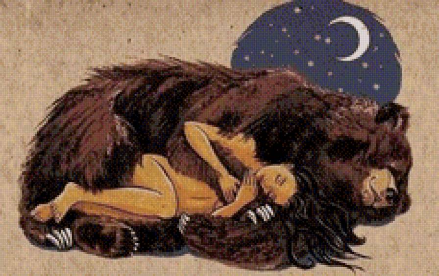 Медведь - животные - предпросмотр