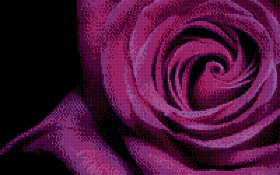 цветы - цветы - предпросмотр