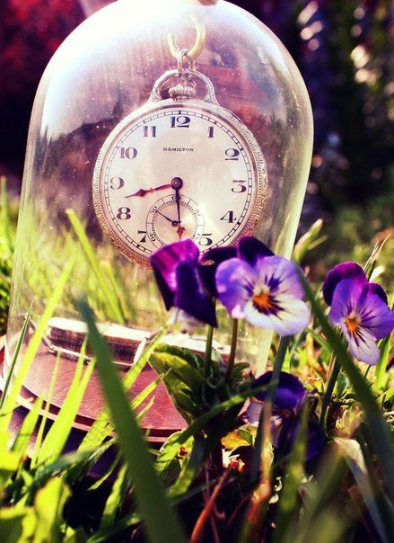 Часы и лето - цветы, лето, часы, анютины глазки - оригинал