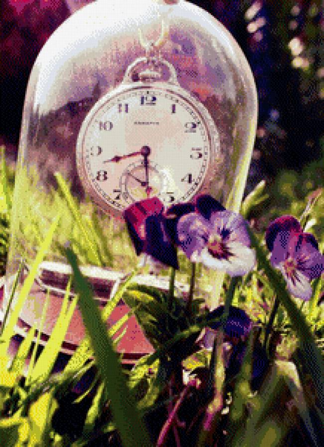 Часы и лето - часы, цветы, лето, анютины глазки - предпросмотр