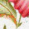 Предпросмотр схемы вышивки «№559895»