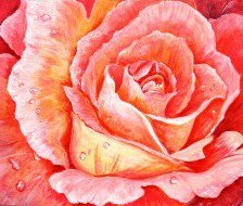 Схема вышивки «№559926»