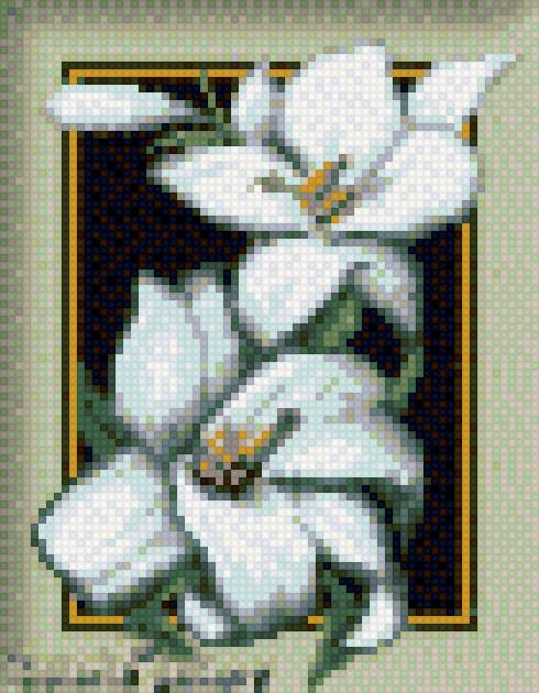 Белые лилии - цветы, лилии - предпросмотр