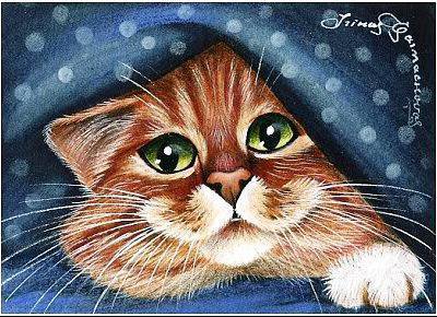 Я спрятался - оригинал