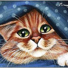 Я спрятался