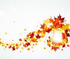 Схема вышивки «№560031»