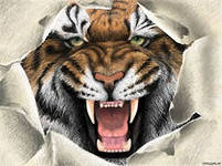 Схема вышивки «№560080»