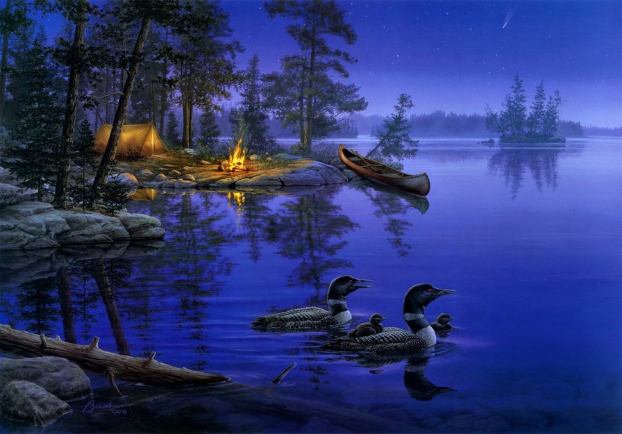 На природе - лето, лодка, утки, ночь, костер, лес, озеро - оригинал
