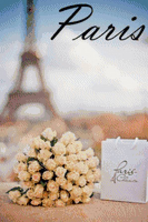 Париж - париж, франция, розы - предпросмотр