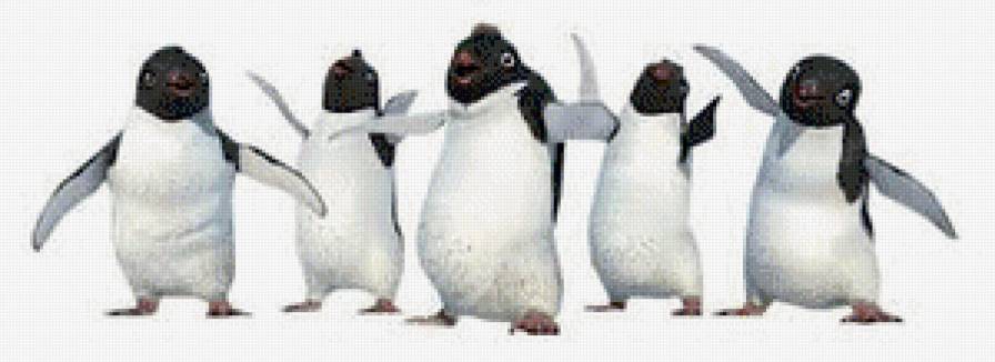 Веселые пингвины - птицы - предпросмотр
