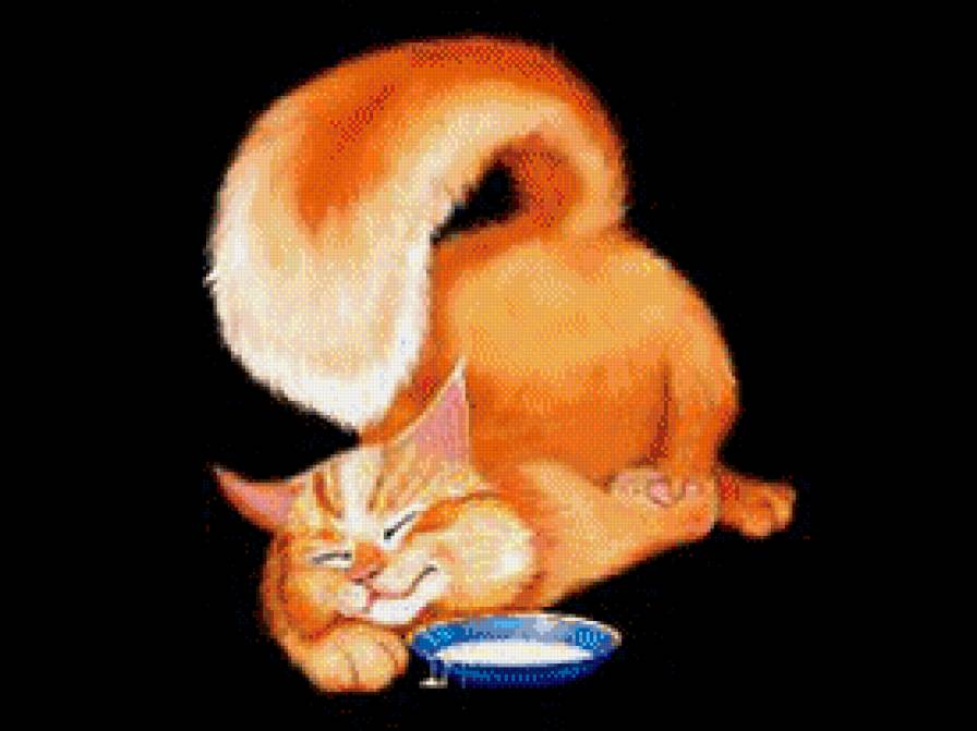 №560311 - коты - предпросмотр