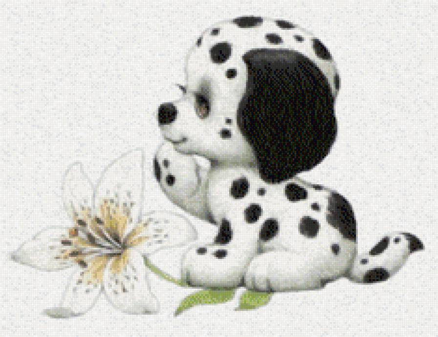 №560325 - собаки, животные - предпросмотр