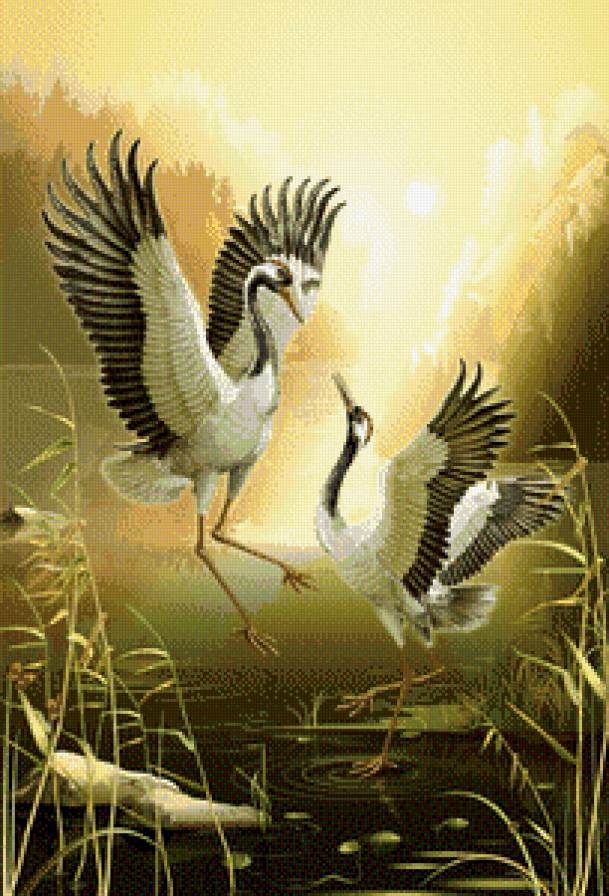 журавли - птицы, журавли, природа, водоем - предпросмотр