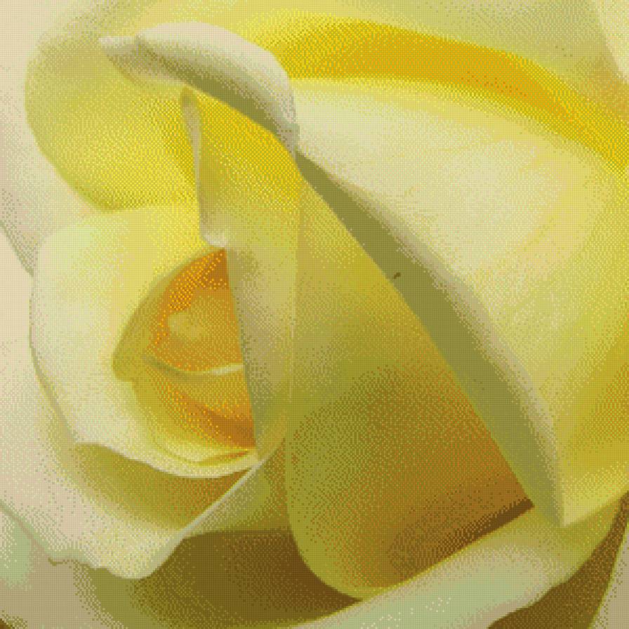 жёлтая роза - роза, лепесток, цветы, желтая, букет, цветок - предпросмотр