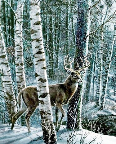 №560694 - зима, животные - оригинал