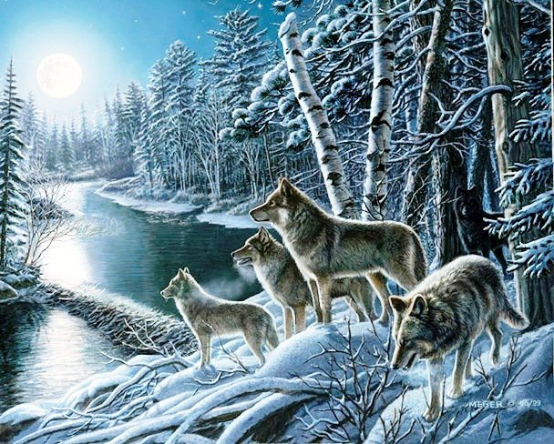 №560696 - волки, зима, животные - оригинал