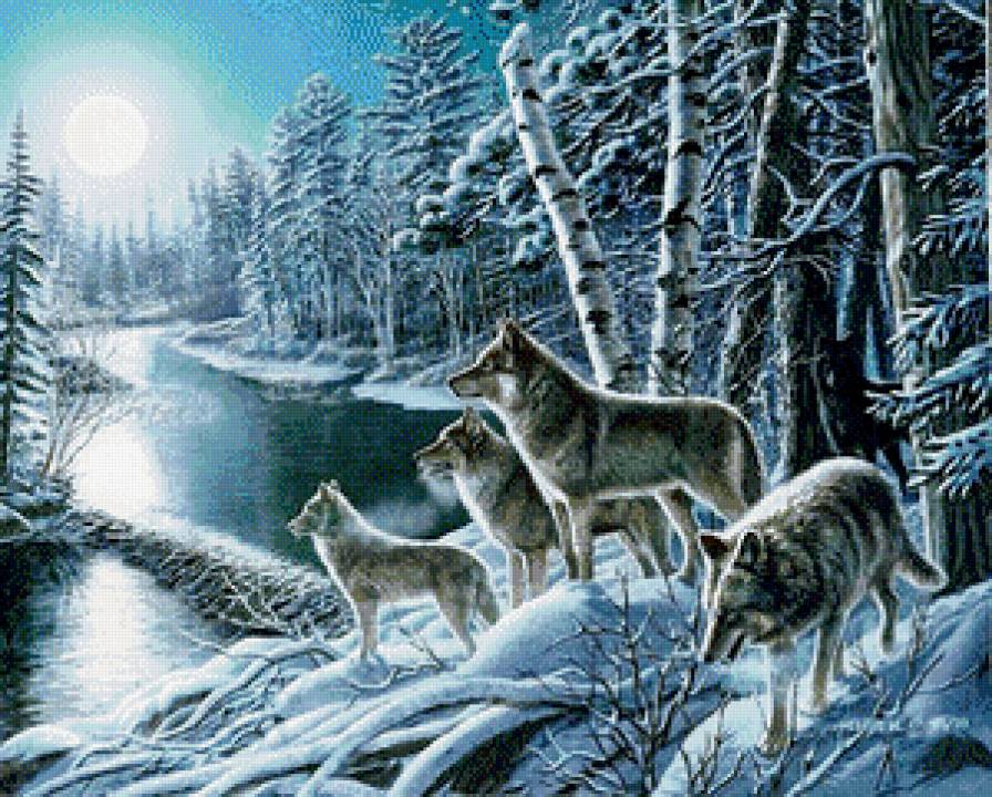 №560696 - волки, зима, животные - предпросмотр