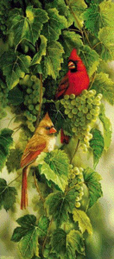 №560700 - птицы, виноград, животные - предпросмотр