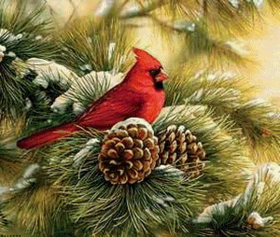 №560705 - животные, зима, птицы - предпросмотр