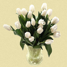 натюрморт белые тюльпаны