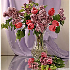 Схема вышивки «тюльпаны»