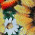 Предпросмотр схемы вышивки «полевые цветы» (№560836)