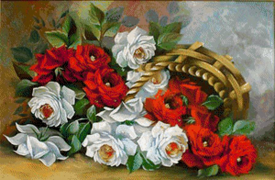 розы - цветы - предпросмотр