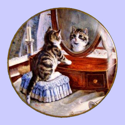 свет мой зеркальце скажи - котики - оригинал